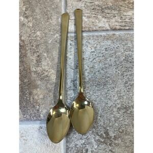 HIC Stainless Steel Gold Tone Spoons Set of 2 Japan